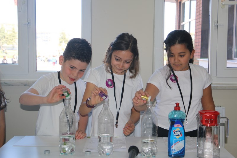 `SCIENCE FAIR` FROM 3RD GRADERS
