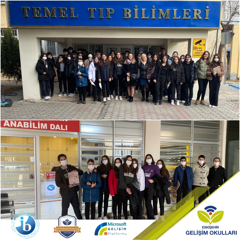 GENLERİN VE KROMOZOMLARIN BÜYÜLÜ DÜNYASI