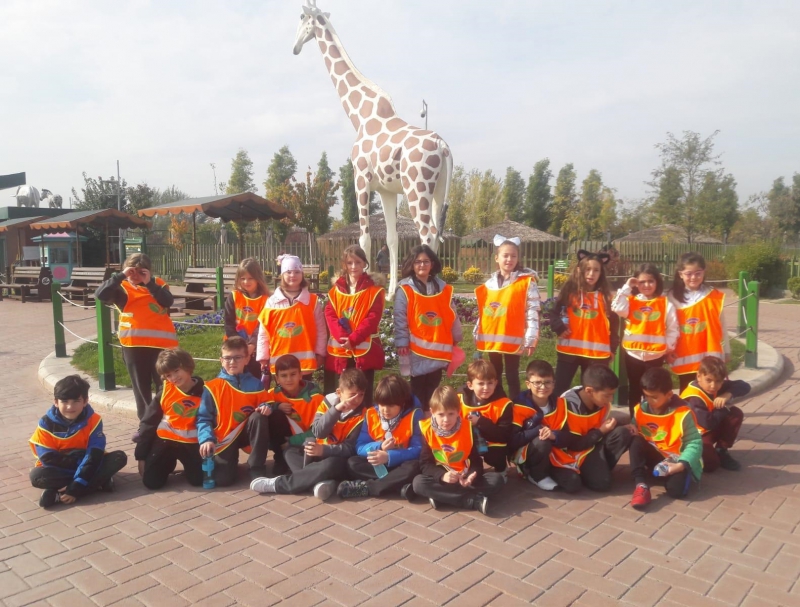 TRIP TO THE ZOO!