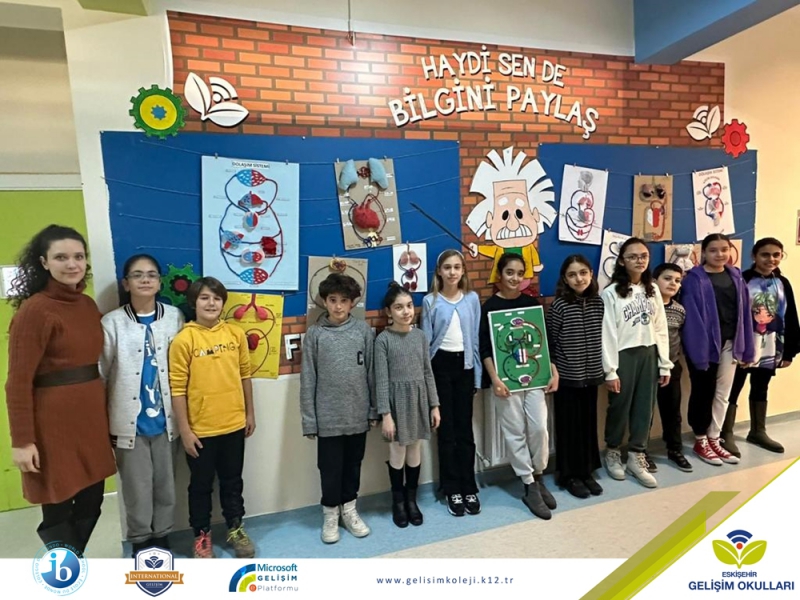 6.SINIF ÖĞRENCİLERİMİZDEN STEM ETKİNLİĞİ