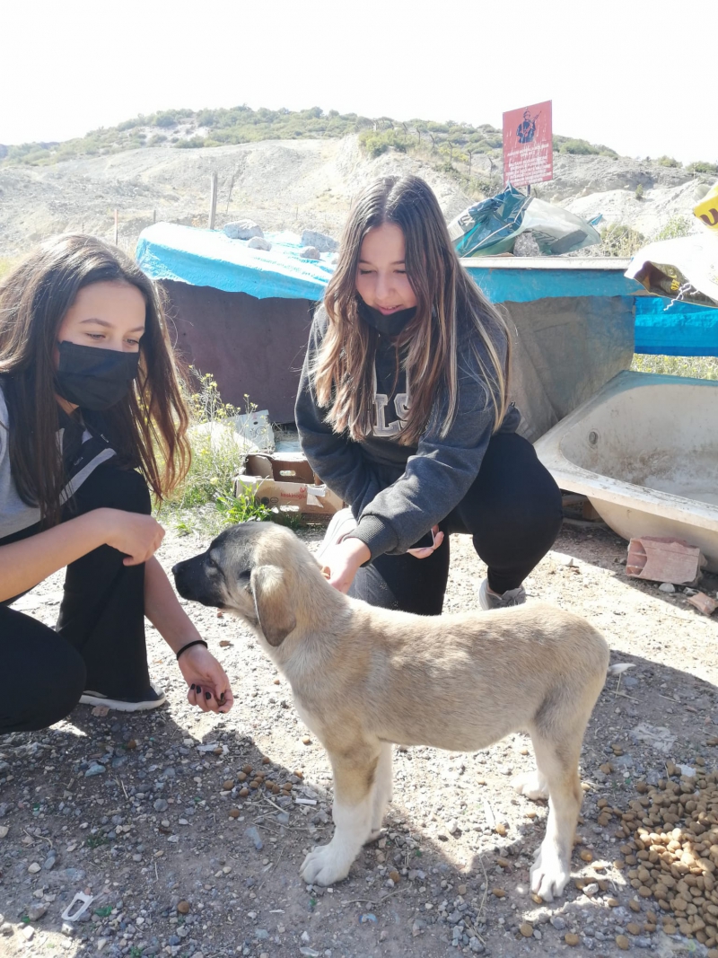 LİSE ÖĞRENCİLERİMİZİN 4 EKİM HAYVANLARI KORUMA GÜNÜNDEKİ ANLAMLI DAVRANIŞI